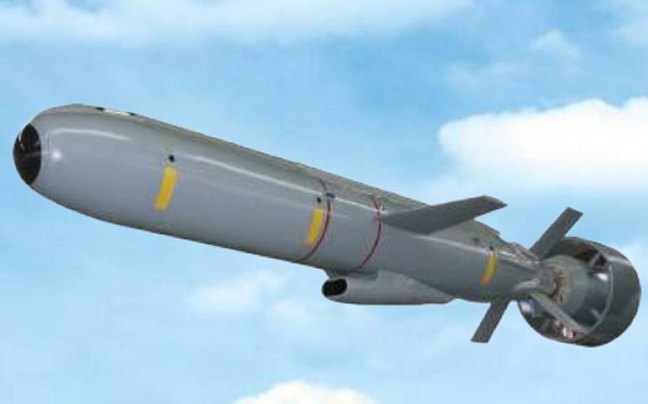 Moroccan Air Force F 5 fighters to get Elbit Systems Delilah cruise missiles 2